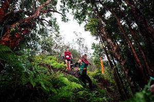 BIB: 
                            <button type="button" onclick="openModal(26202494)" class="btn btn-primary btn-sm float-right btn-popup" data-toggle="modal" data-target=".modal-high-quality">
                        <i class="fas fa-shopping-cart"></i> Add to Cart
                    </button>
                                            <button type="button" onclick="isThisMe(26202494, true)" class="btn btn-success btn-sm float-right btn-popup btn-isme hidden" data-toggle="tooltip" data-placement="bottom" title="นี่คือรูปของคุณใช่ไหม คลิกที่นี่เพื่อเอาเข้าอัลบั้ม">
                        <i class="fas fa-plus"></i> Add to album
                    </button>
                    <button type="button" onclick="isThisMe(26202494, false)" class="btn btn-warning btn-sm float-right btn-popup btn-isnotme hidden">
                        <i class="fas fa-ban"></i> Remove from album
                    </button>